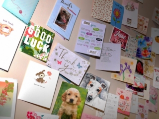 A selection of Thank You cards from our satisfied clients.