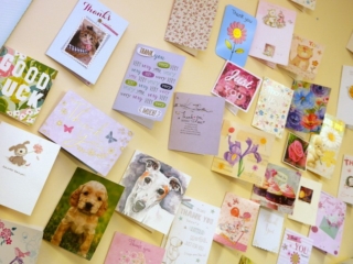 A selection of thank you cards from past clients.